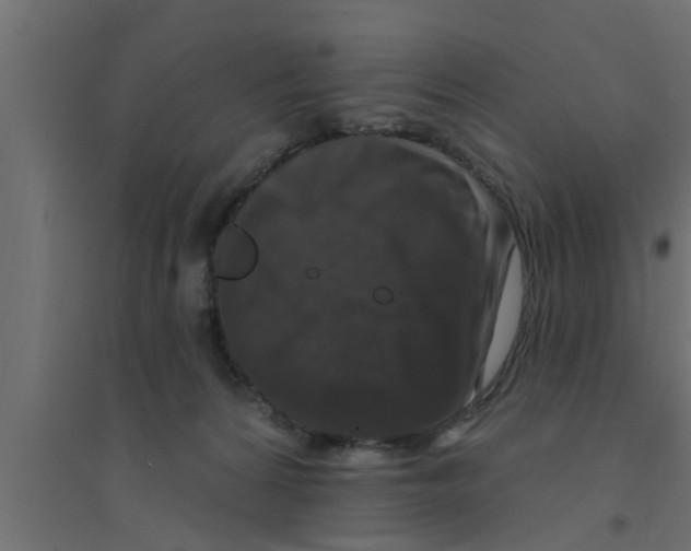 X0000094230224200711241752