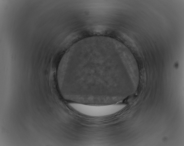 X0000094230225200711241752