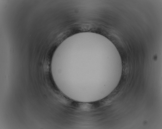 X0000094230226200711241752