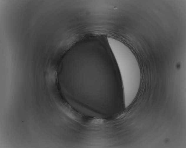 X0000094230227200711241752