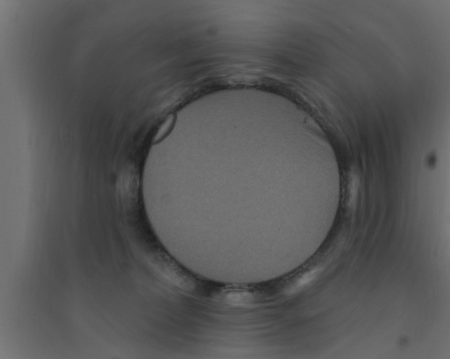 X0000094230228200711241752