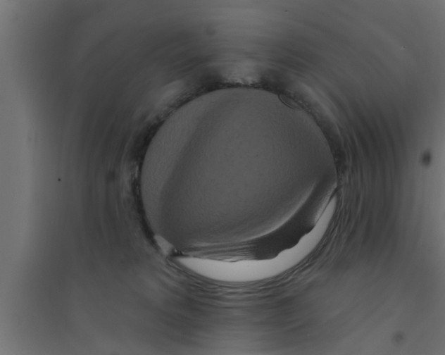 X0000094230229200711241752
