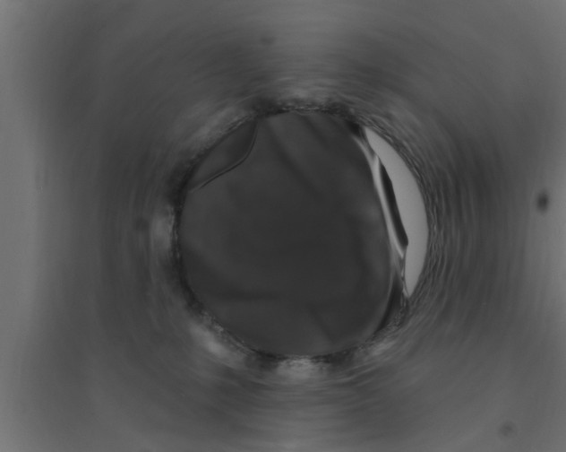 X0000094230231200711241752