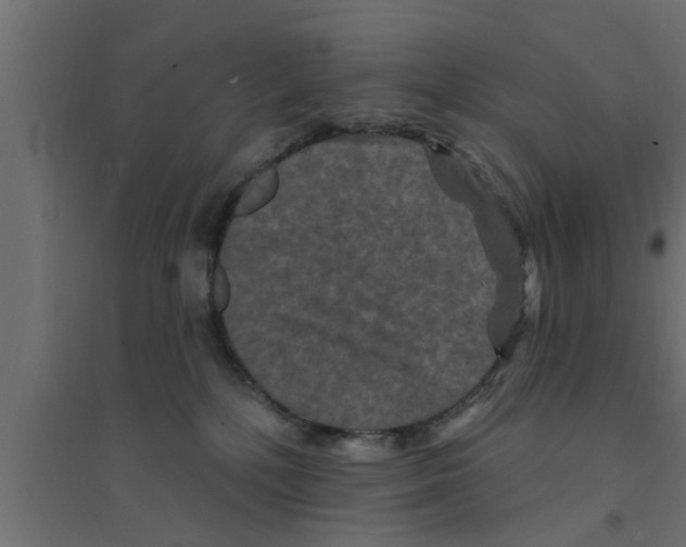 X0000094230232200711241752