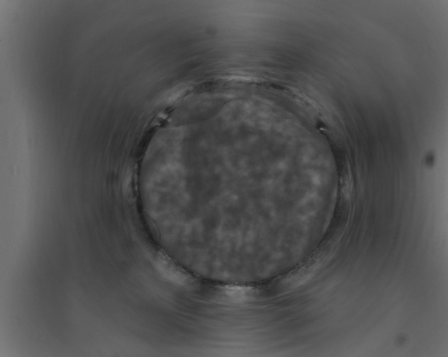 X0000094230233200711241752