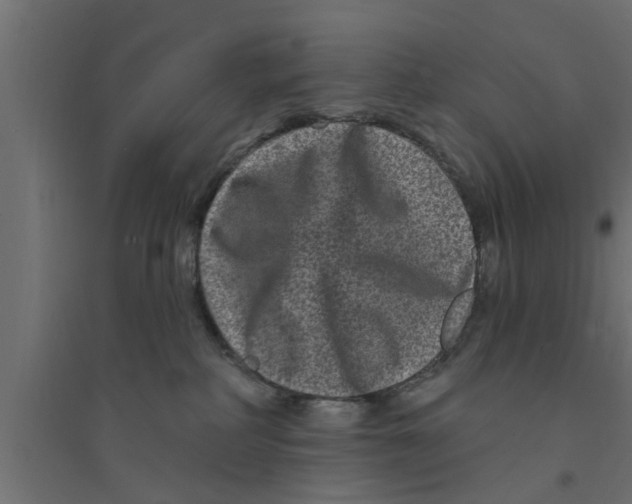 X0000094230234200711241752