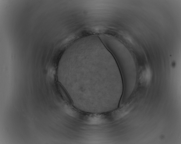 X0000094230235200711241752