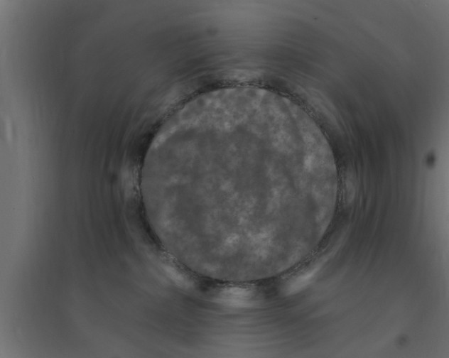 X0000094230236200711241752