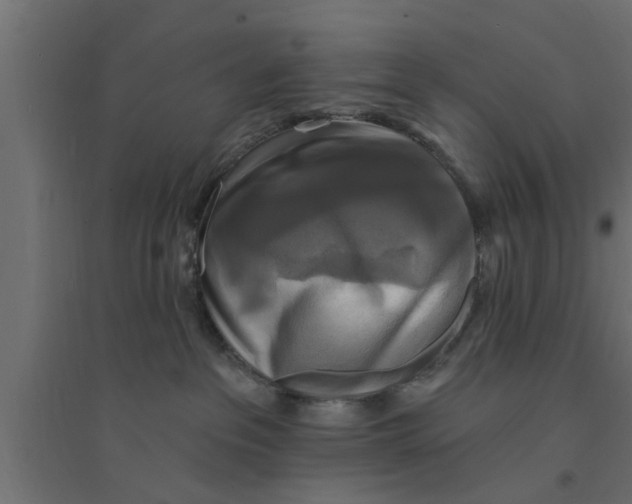 X0000094230237200711241752