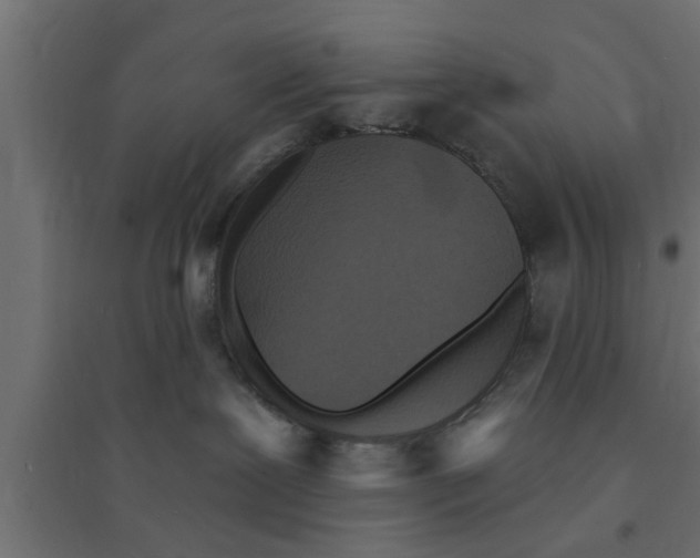 X0000094230239200711241752