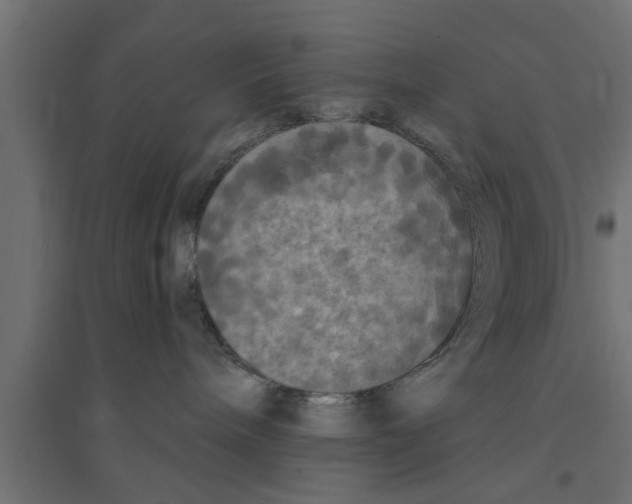X0000094230240200711241752