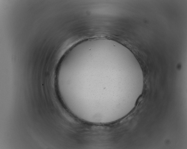 X0000094230242200711241751