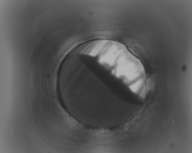 X0000094230243200711241751