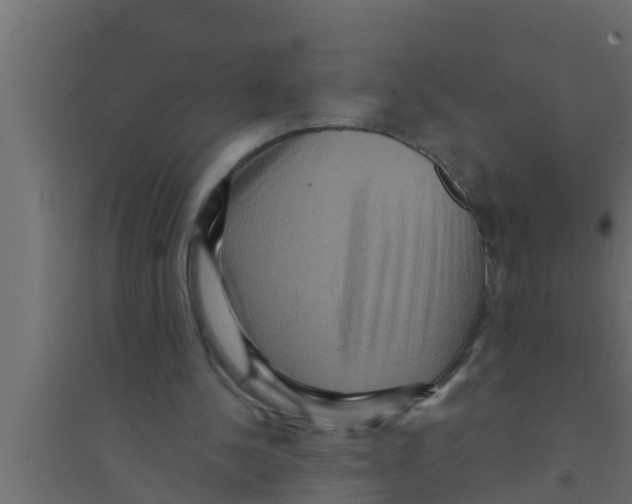 X0000094230244200711241751