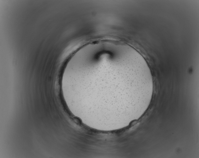 X0000094230245200711241751