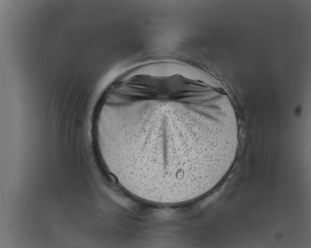 X0000094230246200711241751