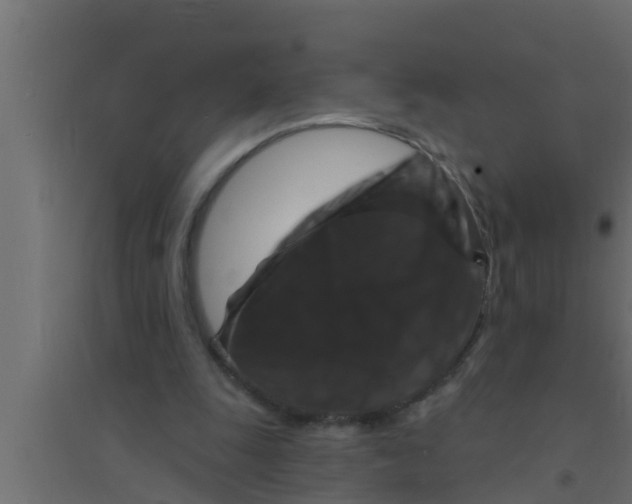 X0000094230247200711241751