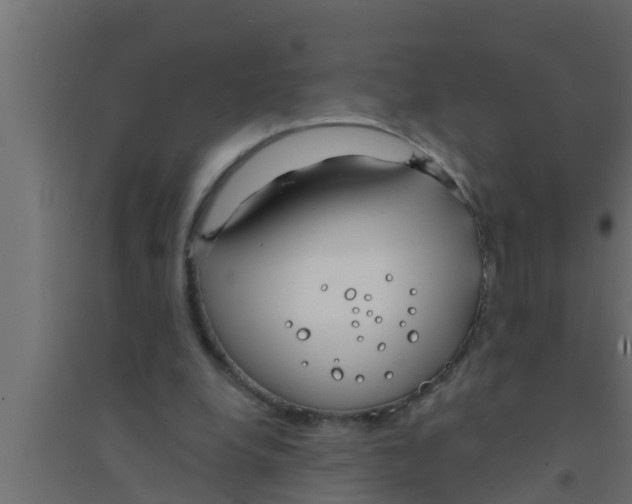 X0000094230248200711241751