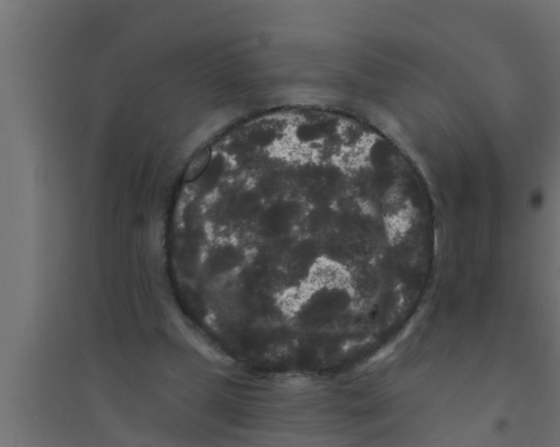 X0000094230249200711241751