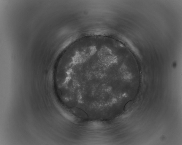 X0000094230250200711241751