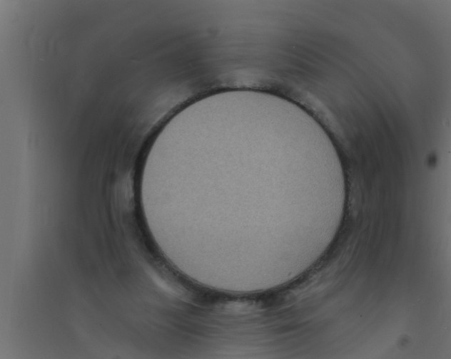 X0000094230251200711241751