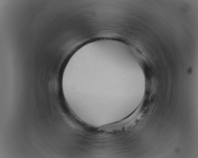 X0000094230252200711241751