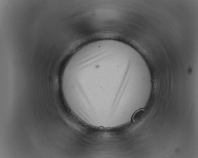 X0000094230254200711241751