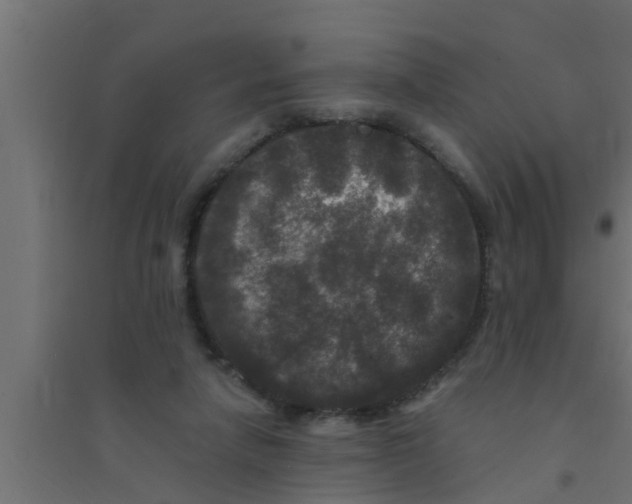X0000094230258200711241751