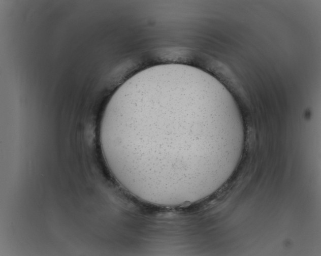 X0000094230259200711241751