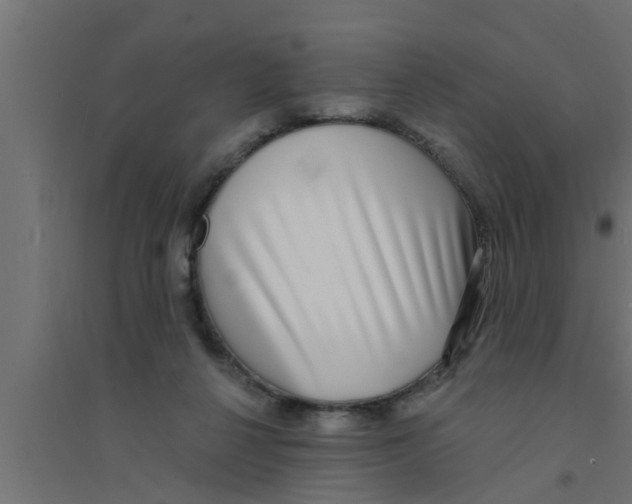 X0000094230264200711241751