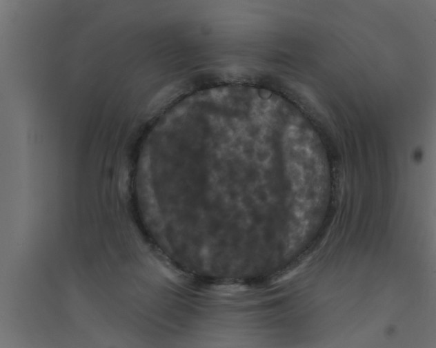 X0000094230266200711241751