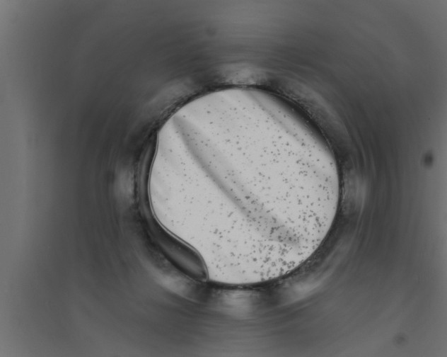 X0000094230268200711241751