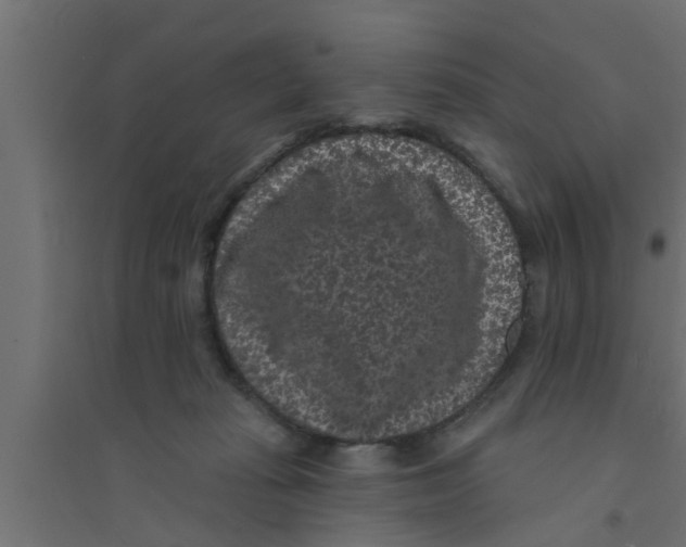 X0000094230269200711241751
