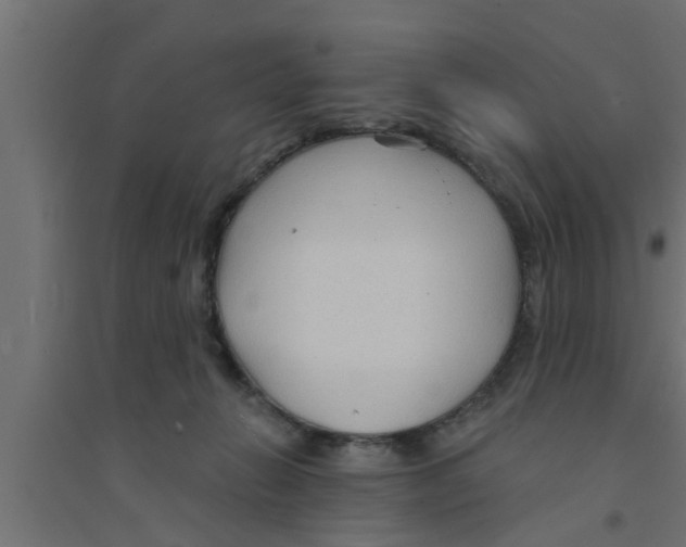 X0000094230270200711241751