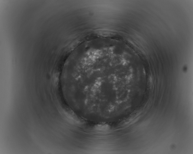 X0000094230271200711241751