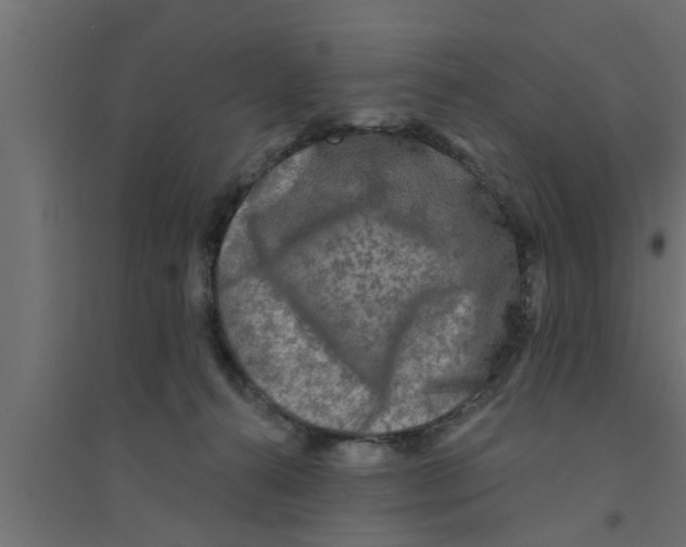 X0000094230272200711241751