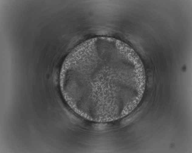 X0000094230273200711241751