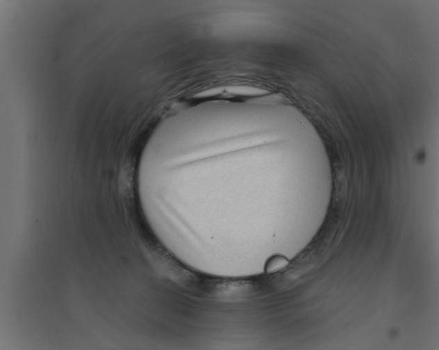 X0000094230274200711241751