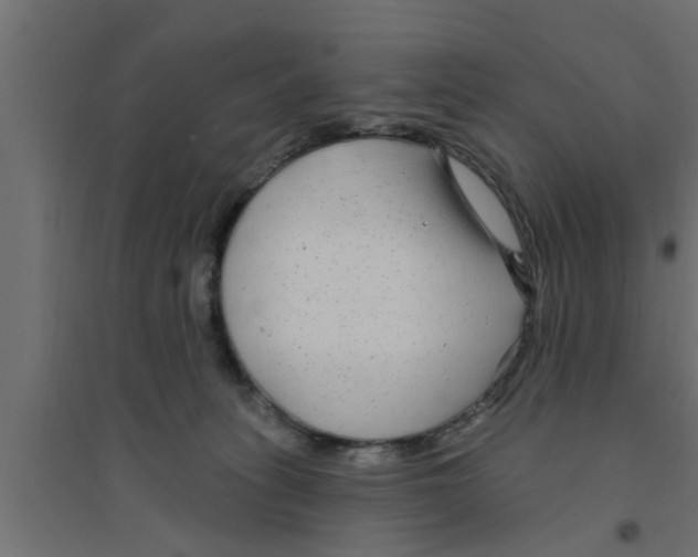 X0000094230275200711241751