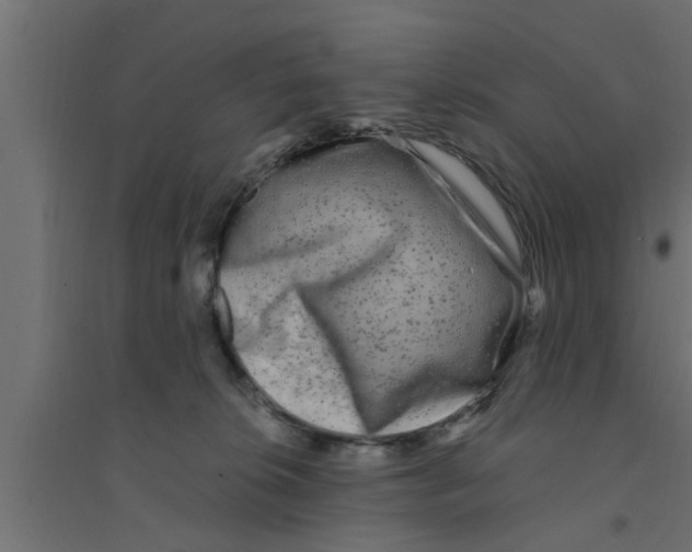 X0000094230276200711241751