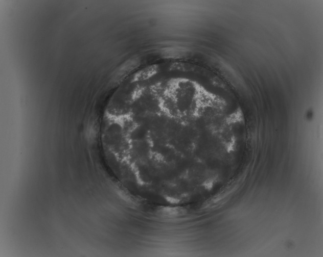 X0000094230277200711241751