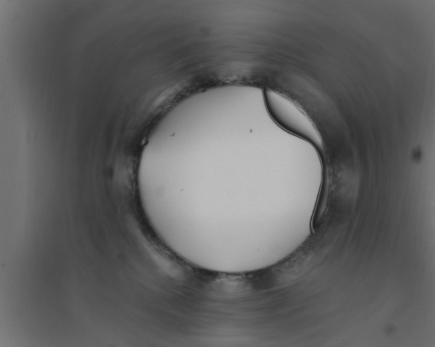 X0000094230280200711241751