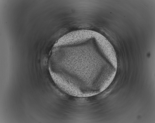 X0000094230281200711241751