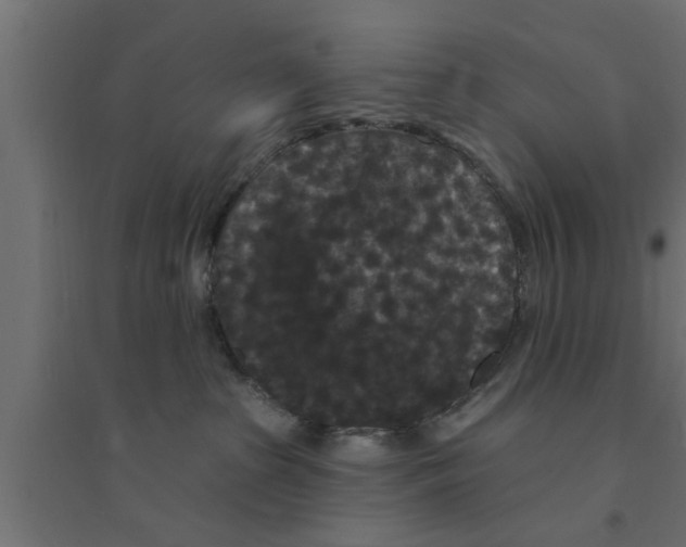 X0000094230285200711241751