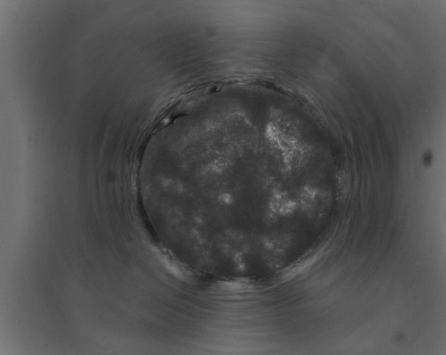 X0000094230286200711241751