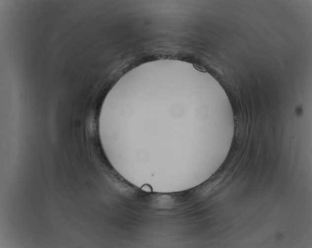 X0000094230287200711241752