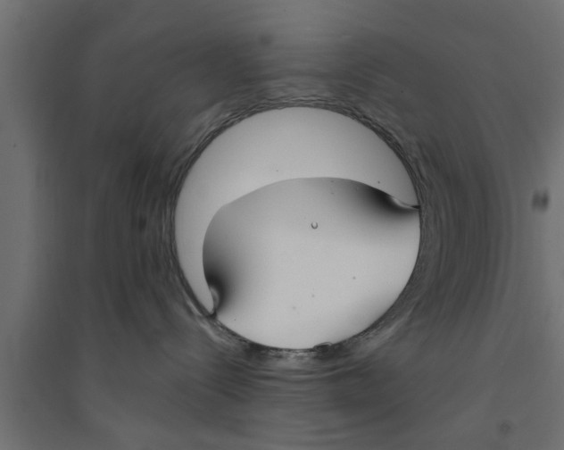 X0000094230288200711241752
