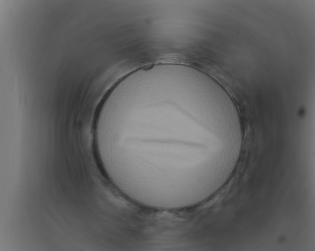 X0000094230290200711241751