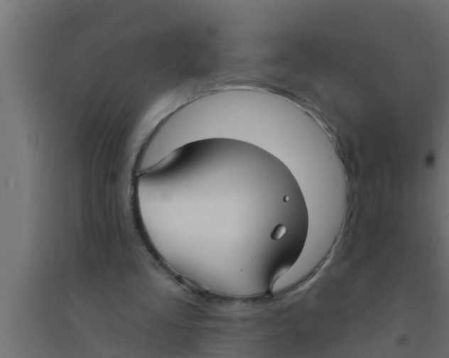 X0000094230293200711241751