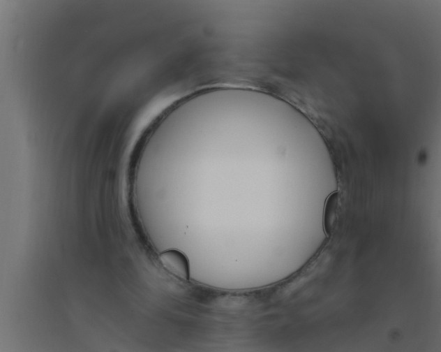 X0000094230294200711241751